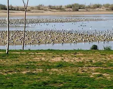 Porto In Sight, 4 Kids Casa vacanze *