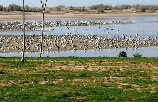 Porto In Sight, 4 Kids بيت للعطل *